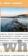 大象传媒免费进入网址-探索大象传媒的免费资源，互联网上的文化盛宴